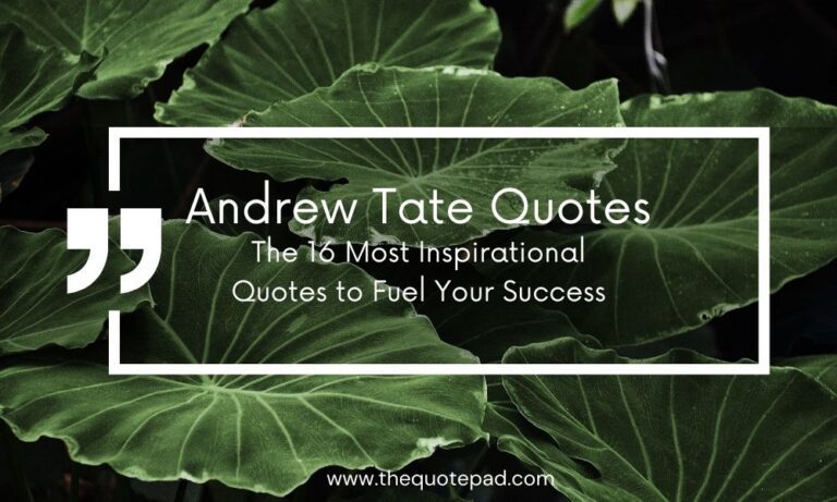 Andrew Tate Quotes: The 16 Most Inspirational Quotes to Fuel Your Success